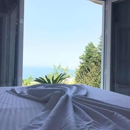 Colombo * Vlorë
